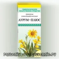 головного