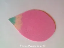 тюльпанів