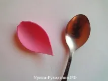 тюльпанів