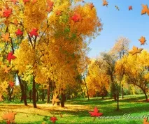 Свої ліки радість