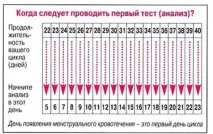 Тест на овуляцію Clearblue як і коли застосовувати (інструкція) clearblue