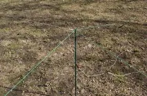 Теорія радіохвиль антени хвилі