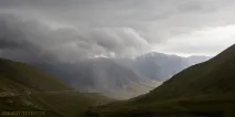 Томськ - Тянь Шань шань