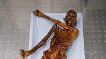 Вчені дізналися який у Еці був голос і від чого він загинув вчені