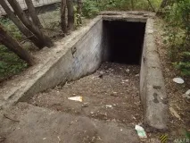 Притулку Новосибірська новосибірська