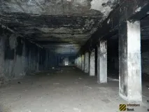Притулку Новосибірська дружину