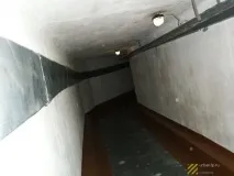 Притулку Новосибірська дружину