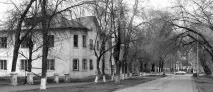 ВУЛИЦІ ЧЕРНИКІВКИ Від Соцмістечка до Шугурівки, Посеред Укаїни черниківки