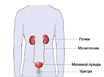 контрастно