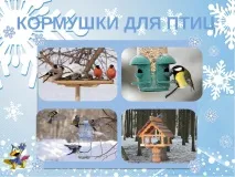 Як допомогти птахам взимку - (1 клас) взимку