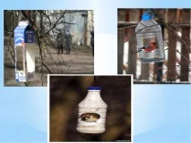 Як допомогти птахам взимку - (1 клас) допомогти