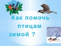 Як допомогти птахам взимку - (1 клас) допомогти