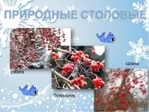 Як допомогти птахам взимку - (1 клас) допомогти