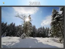 Як допомогти птахам взимку - (1 клас) допомогти