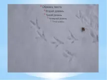 Як допомогти птахам взимку - (1 клас) взимку