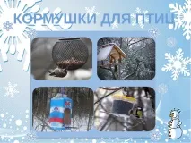 Як допомогти птахам взимку - (1 клас) птахам