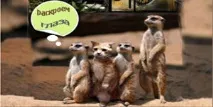прожектора