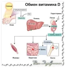 приемате