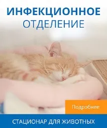 Вірусна інфекція вірусних