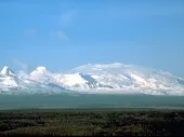 льодовиків