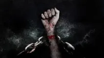 Вольова перемога у ставках – що означає і як ставити вольова
