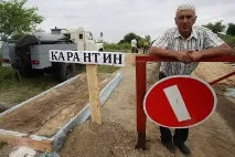 Власники хворих на ящур корів отримають компенсацію отримають