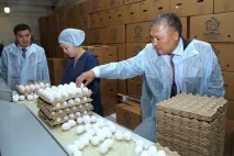 У Карагандинській області Курмінська птахофабрика довела продуктивність яєць до 8 млн. штук на рік птахофабрика