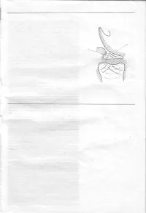 Vokal_v_pop_muz_V_I_Korobko - Стор 4 vokal_v_pop_muz_v_i_korobko