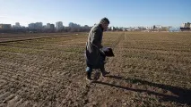 Що потрібно знати про скандал із землями Тимірязівської академії - Країна - Коммерсант землями