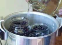 Чорниця в соку без цукру рецепт з фото покроково та video соку