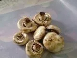 Шкідники печериць боротьби