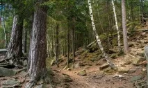 Все, що потрібно знати про підготовку до походу як зібрати речі в гори, що потрібно брати з ліків та підготовку
