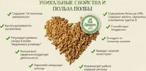 Характеристики полби та відмінності від інших видів пшениці, смачні рецепти корисної каші інших