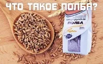 Характеристики полби та відмінності від інших видів пшениці, смачні рецепти корисної каші полби