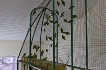 Харківський зоопарк - зимові фото самотніх тварин зоопарк