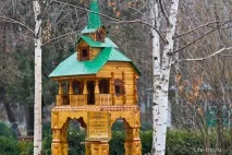 Харківський зоопарк - зимові фото самотніх тварин зоопарк