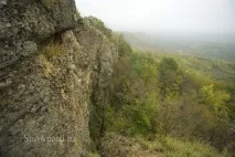 жовті