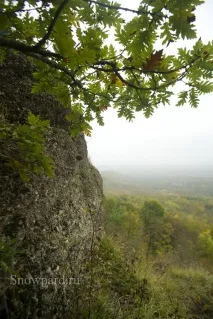 жовті