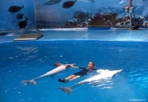 Барселона зоопарк зоопарк