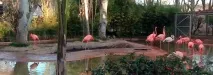 Зоопарк у Барселоні (22 фото, інформація, ціни, відгуки) зоопарк