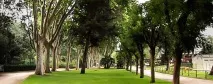 Зоопарк у Барселоні (22 фото, інформація, ціни, відгуки) зоопарк