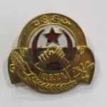 Алжир (Національна спілка Алжирської молоді) Дитяча організація Розвідники (Ель-Кеш-Шеф) - національна