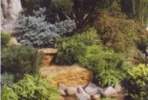 альпінарій
