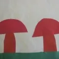 Аплікація