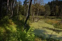 Анісімов Іван Володимирович володимирович