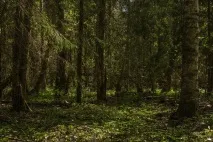 Анісімов Іван Володимирович володимирович