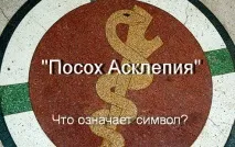 палиця