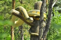 Що подивитися в Магнітогорську, пам’ятки та цікаві місця Магнітогорська цікаві