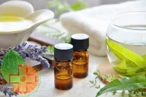Що ж таке вербена Ефірна олія вербени, користь та шкода - Calendula олія