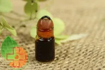 Що ж таке вербена Ефірна олія вербени, користь та шкода - Calendula таке